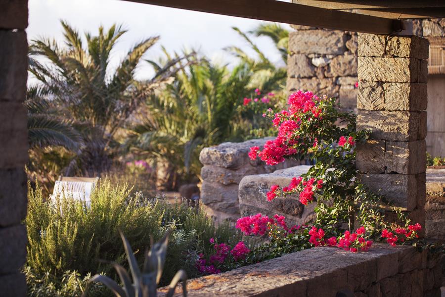 borgia dammuso vigna pantelleria relax 02