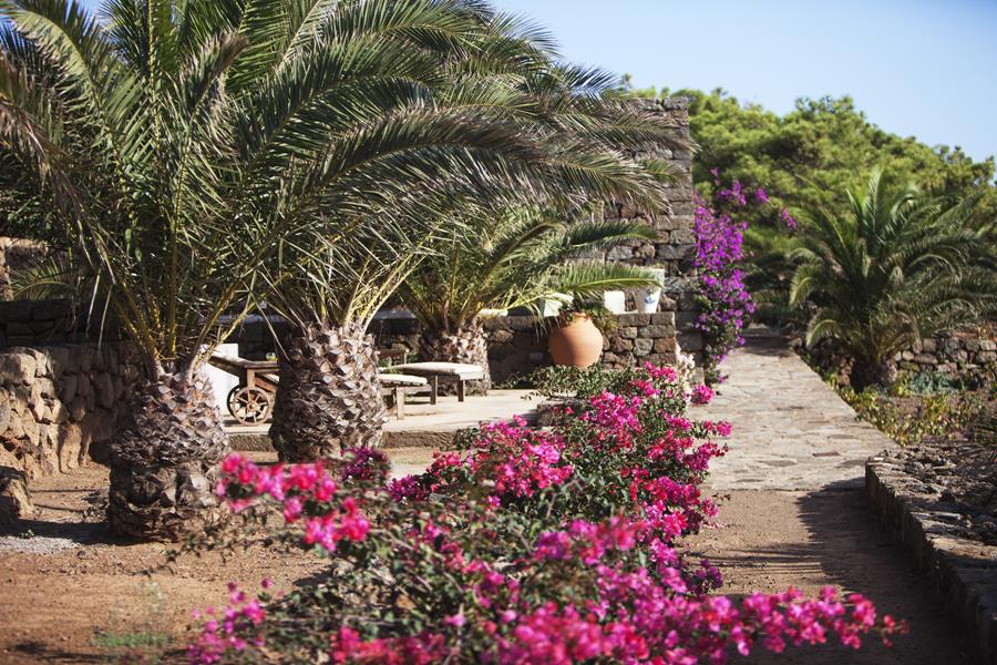 borgia dammuso palmeto pantelleria relax 02