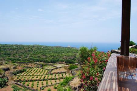 900900 0 5304596 721465