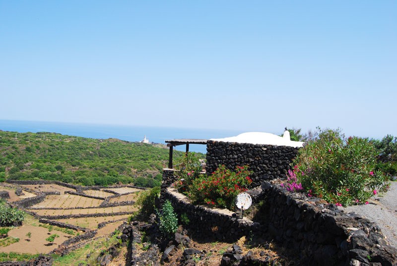 900900 0 5304608 721465