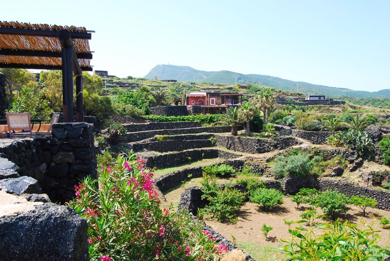 900900 0 5304609 721465