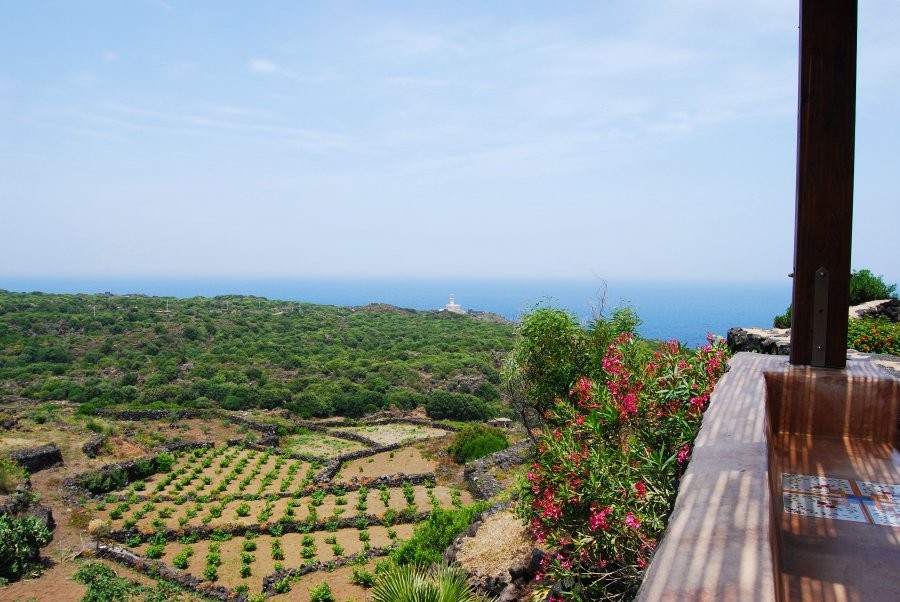 900900 0 5304596 721465