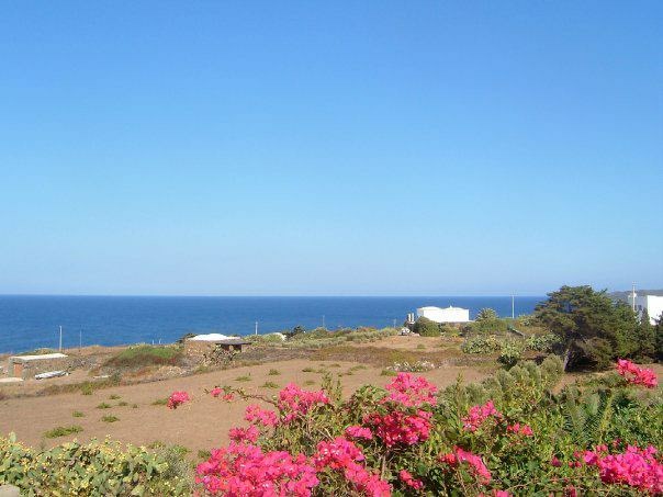 1d83ba04 55bc 421f 84c8 59c9230ea54e