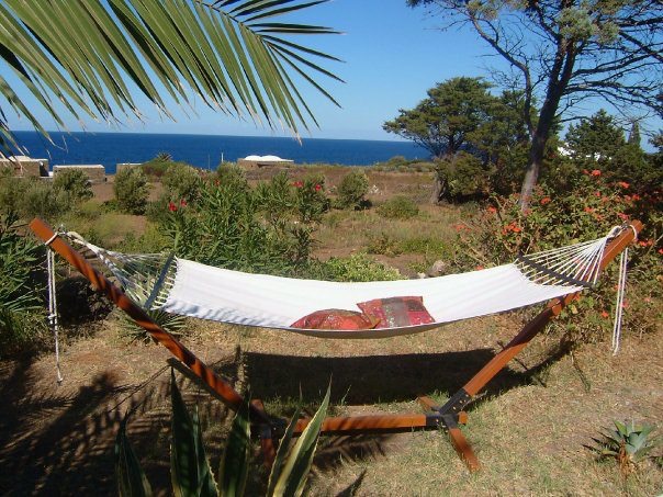 7f9ea5d8 308a 4652 aab5 e6a0109c0052