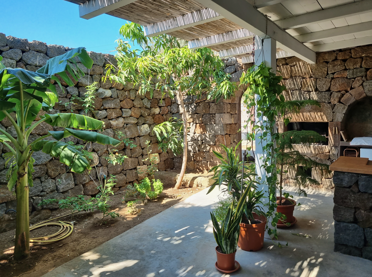 scauribasso14 mango 2 di 13