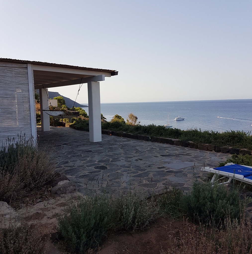 scauribasso14 rosmarini 5 di 22