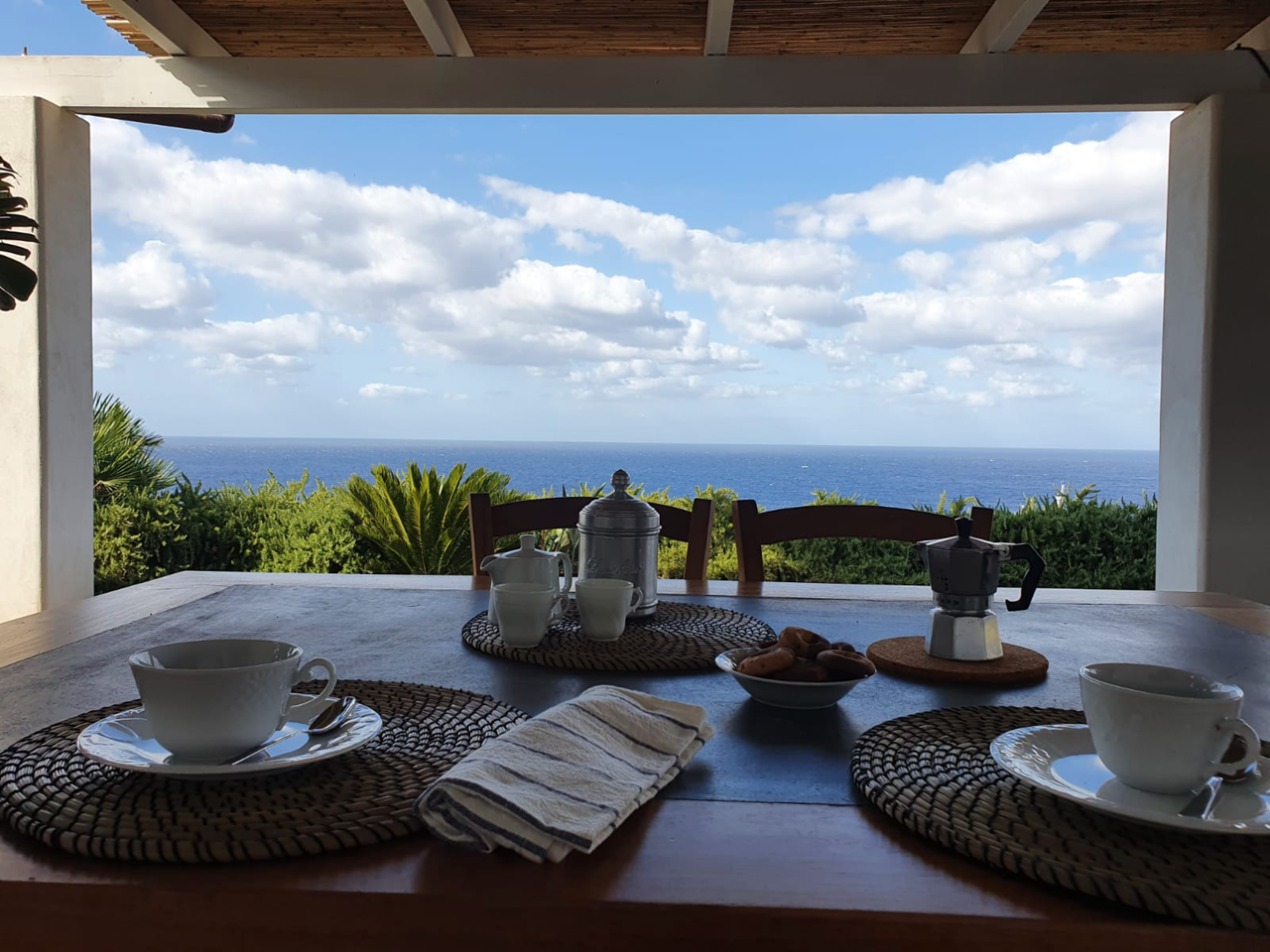 scauribasso14 rosmarini 9 di 22