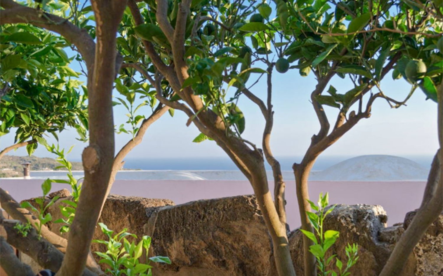 paolo maria scuderi  3