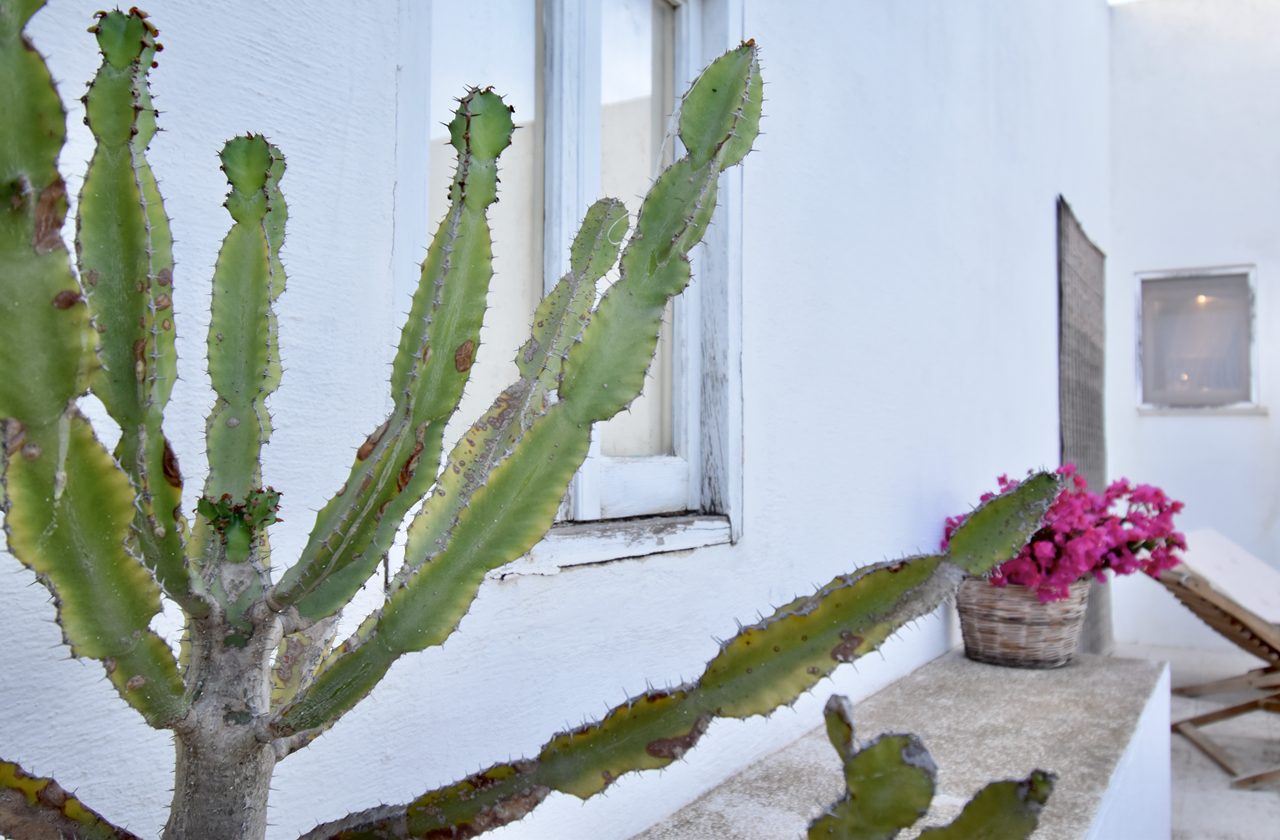 solmar 2 di 15 copia