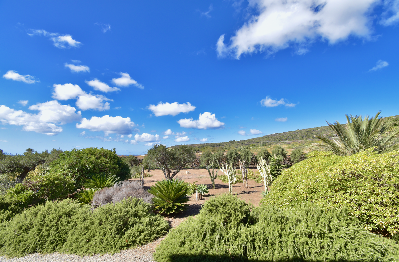 cielo stellato 16 di 80