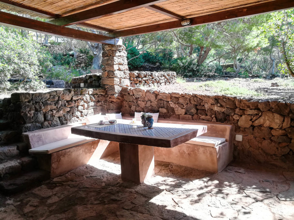 dammusi euterpini agave 11 1024x768