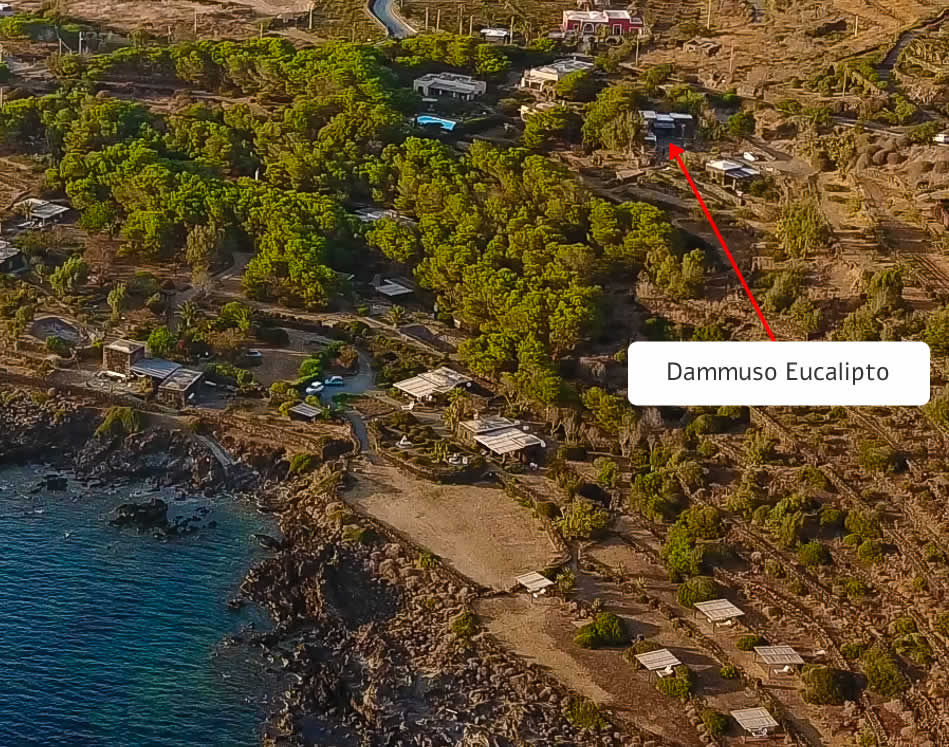 mappa eucalipto