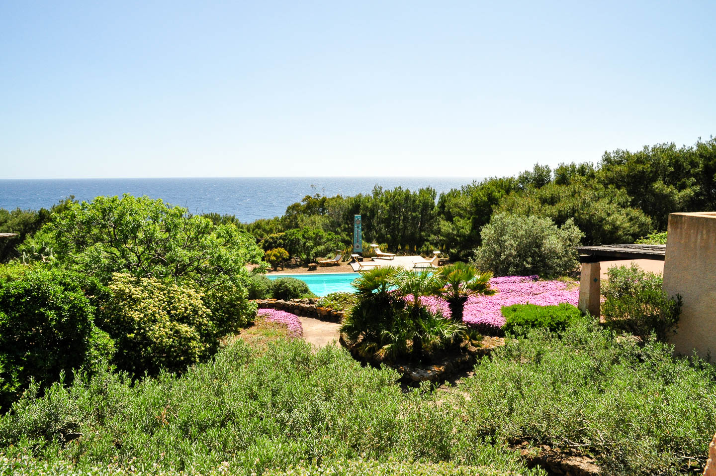 dammusi euterpini esterni 15