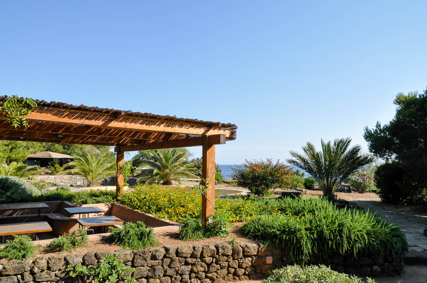 dammusi euterpini esterni 18