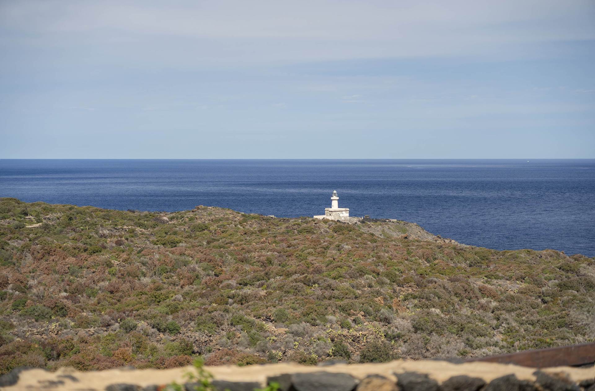 la cala cottone  187