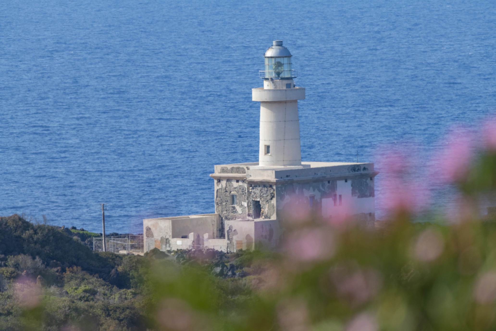 la cala cottone  150