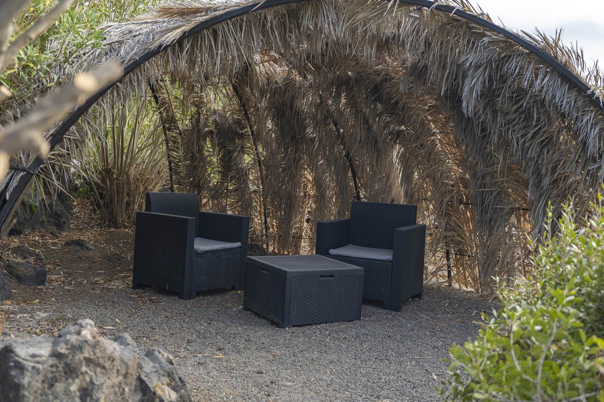 la cala cottone  165