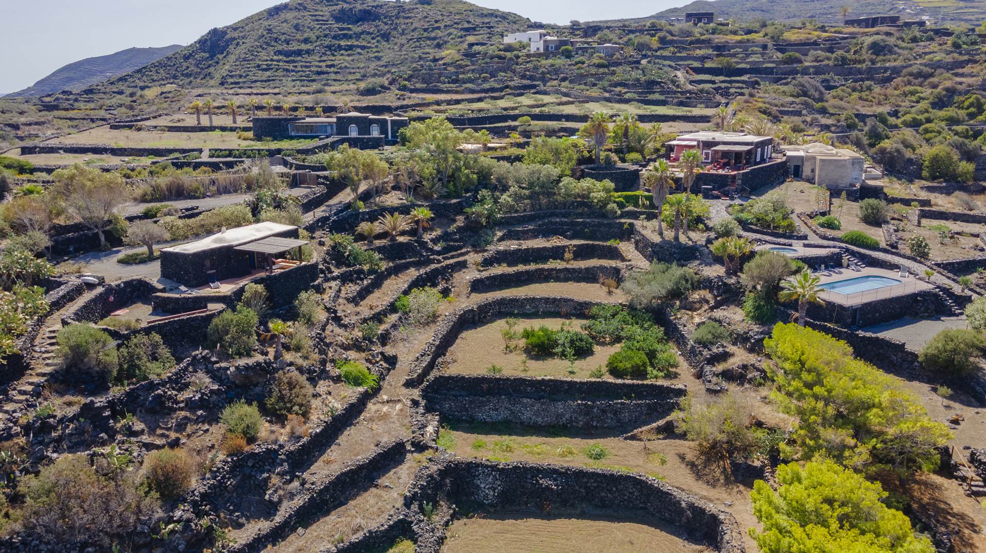 la cala cottone  197