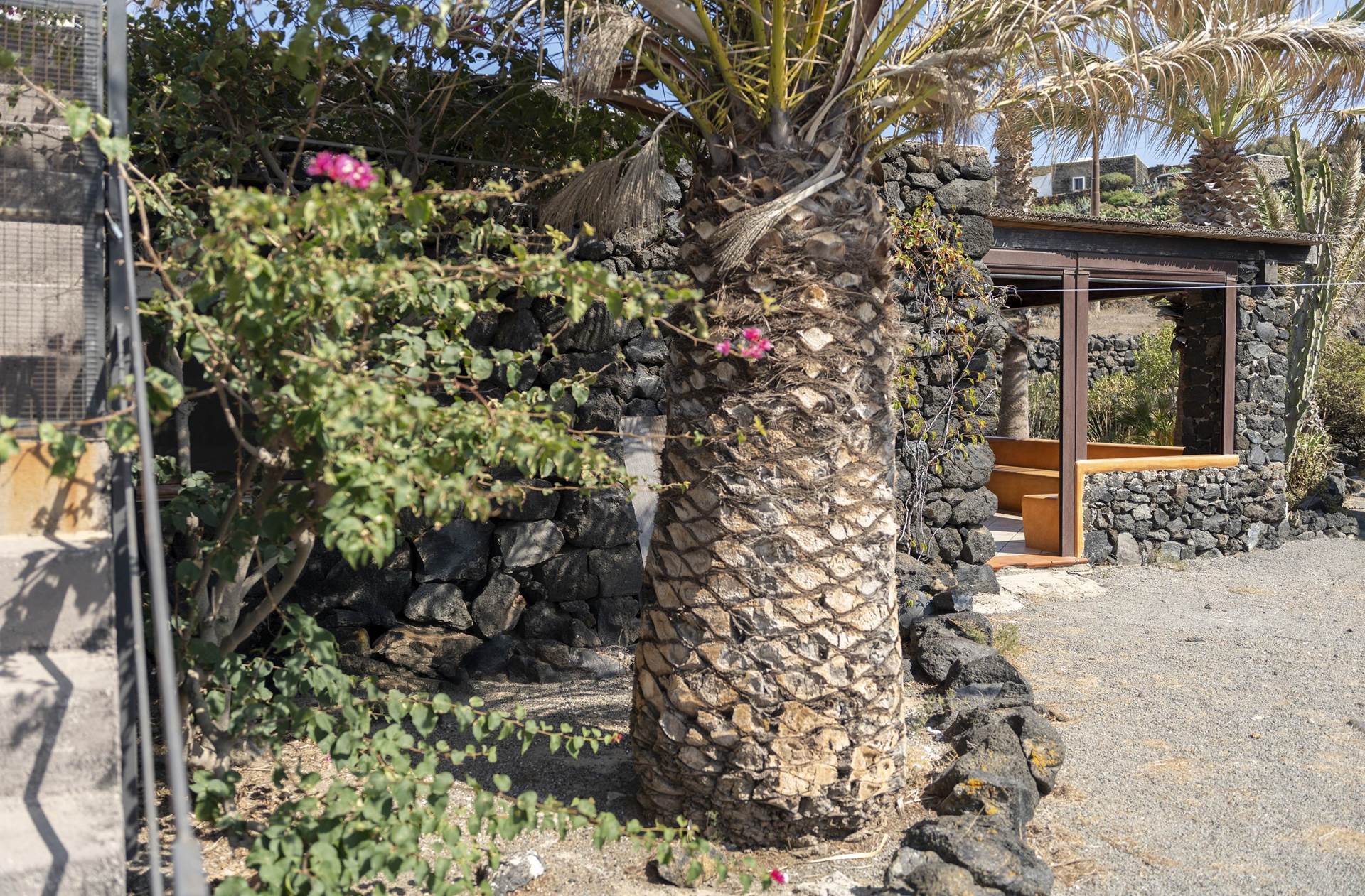 la cala cottone  101